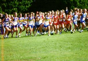 GirlRace.JPG (19074 bytes)