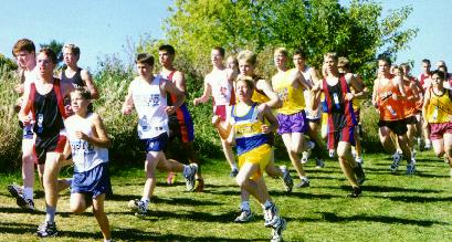 Run.JPG (34309 bytes)